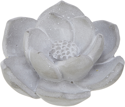 No.67041<br>ロータスＳ