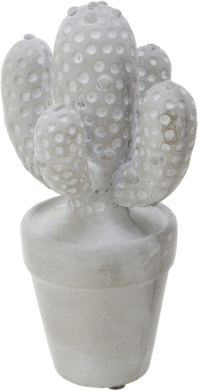 No.67043<br>サボテンＬ