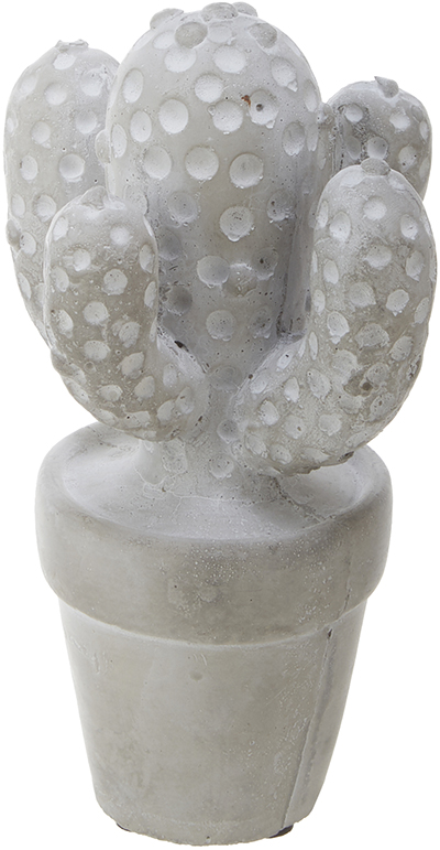 No.67044<br>サボテンＳ