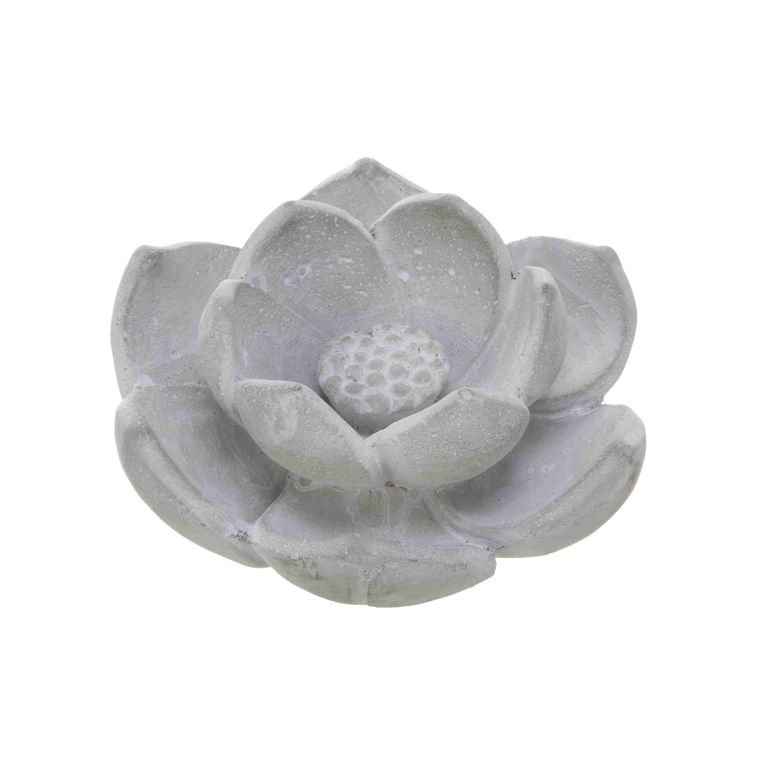 No.67040<br>ロータスＭ