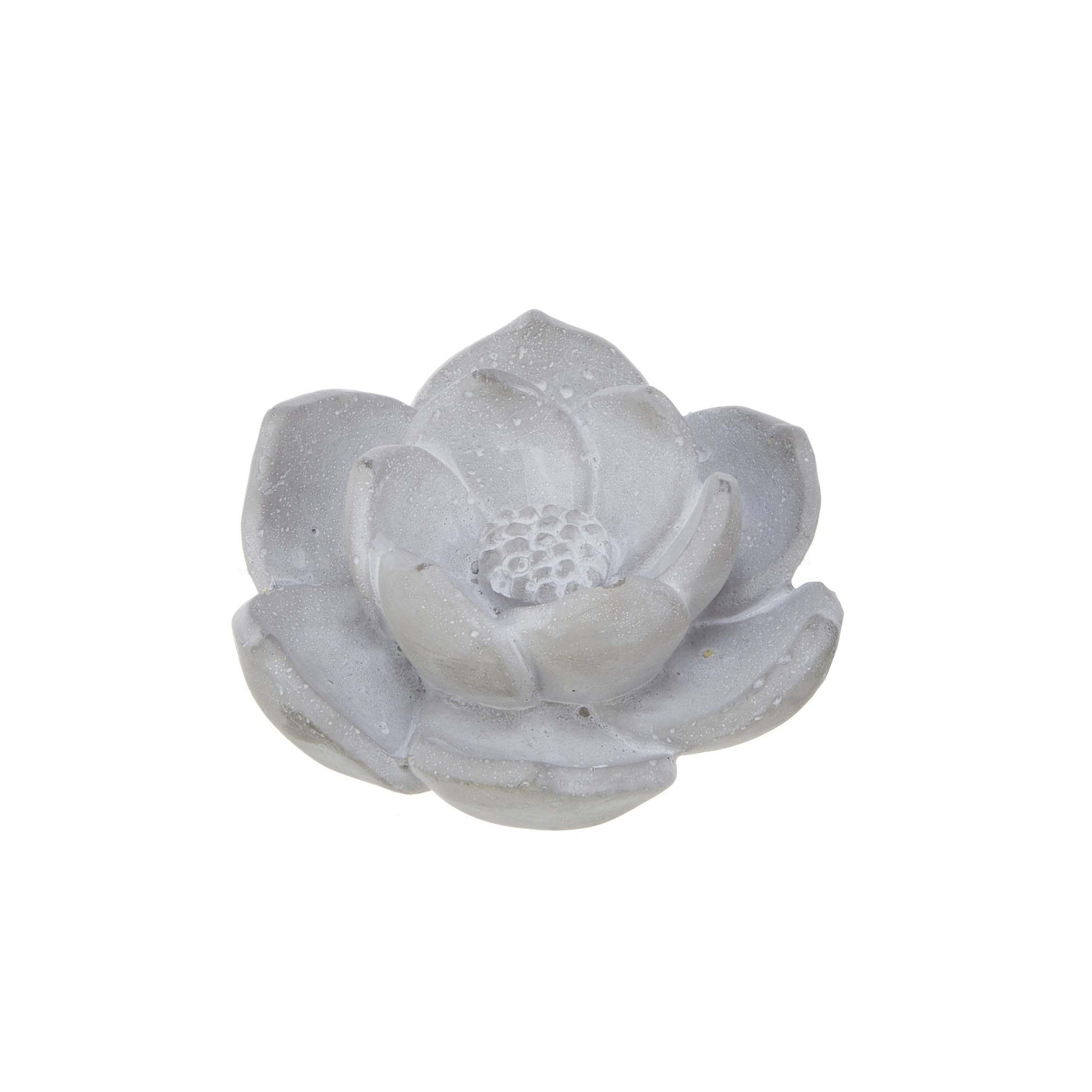 No.67041<br>ロータスＳ