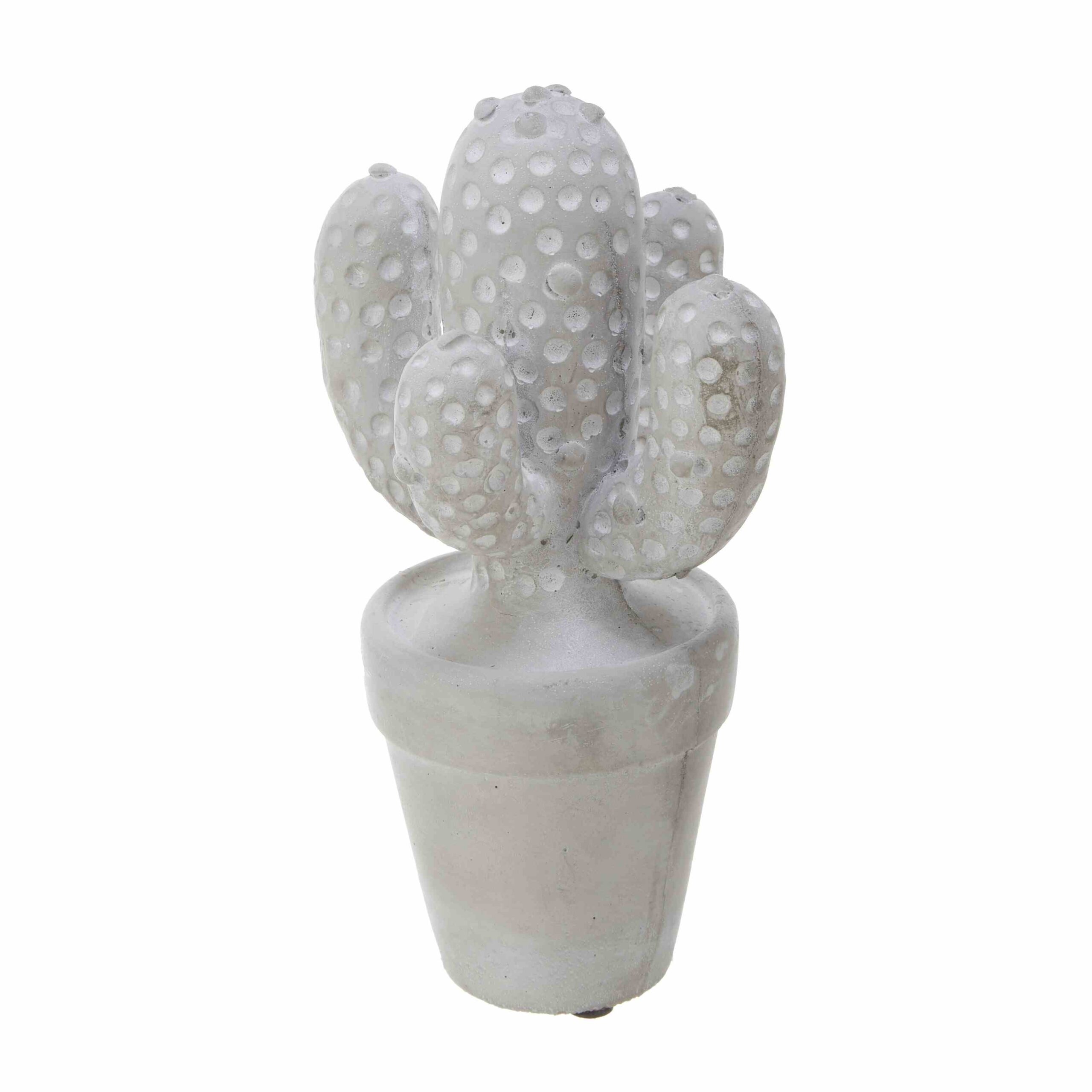 No.67043<br>サボテンＬ