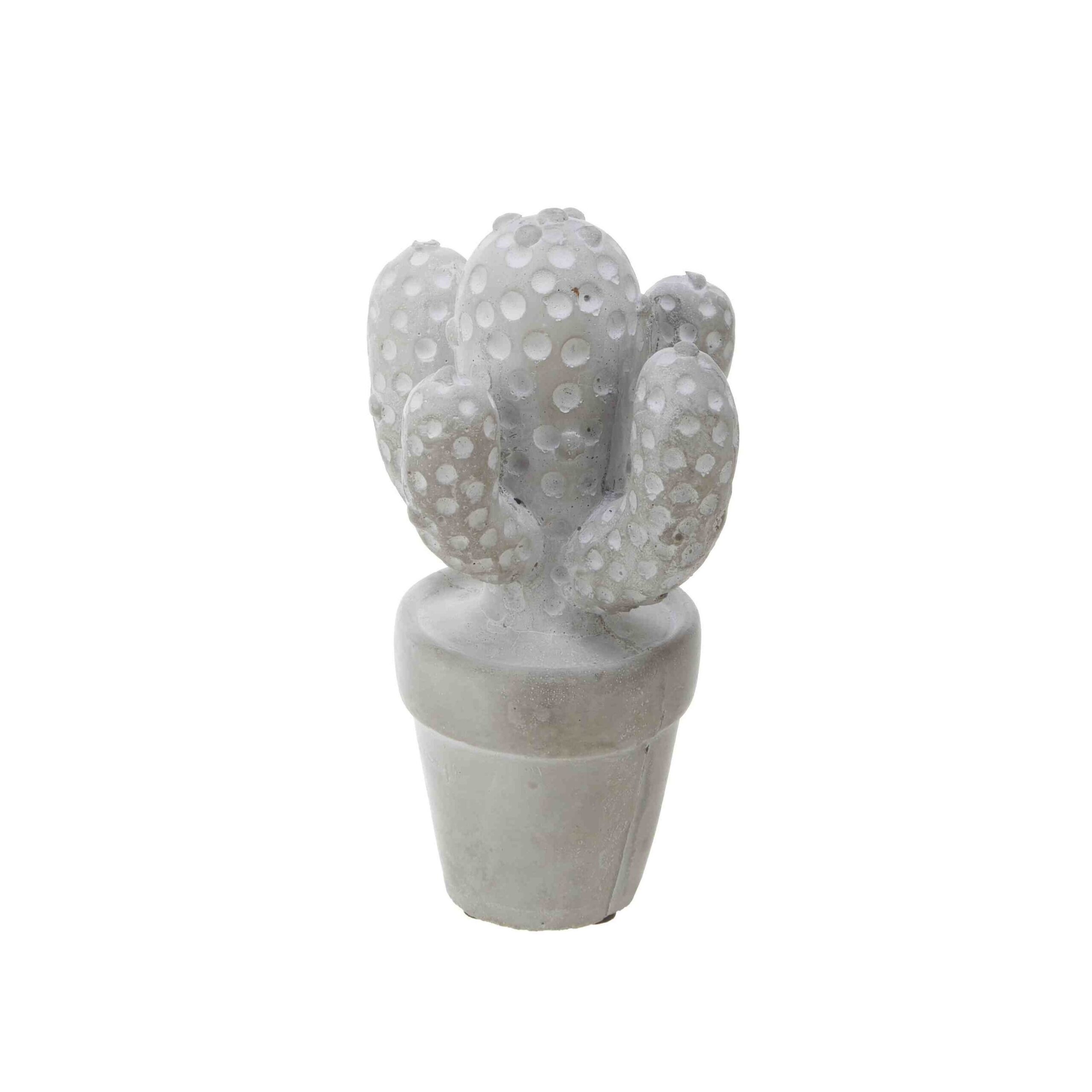 No.67044<br>サボテンＳ